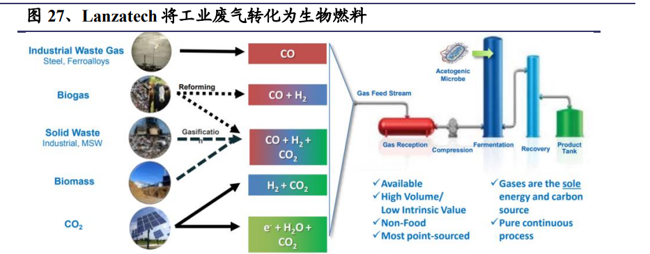 合成生物學(xué)深度報(bào)告 推陳出新，欣欣向榮——?dú)怏w生物技術(shù)的突破與應(yīng)用